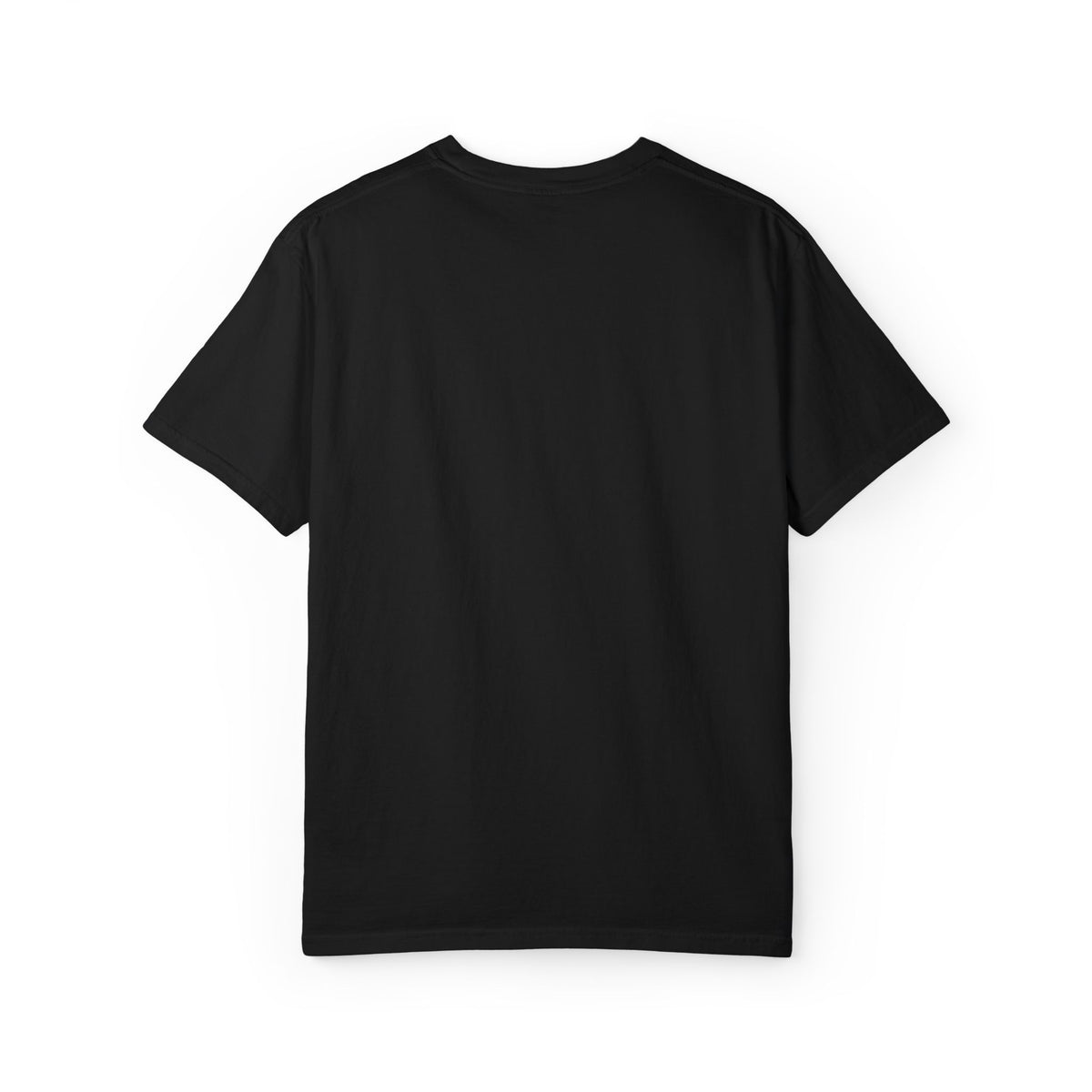 Otter Fest BCH Mountain Lake T-Shirt | Minimal Outdoor Emblem